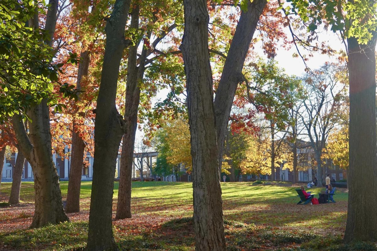 Peabody Lawn and trees in the fall, as photographed on Nov. 20, 2024. (Hustler Multimedia/Izabela Bisiak)