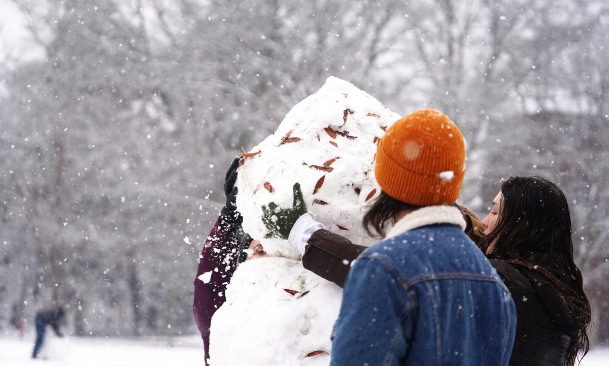 With 5 inches of snow accumulating on Vanderbilt’s campus on Friday, students engaged in various activities during their day off.