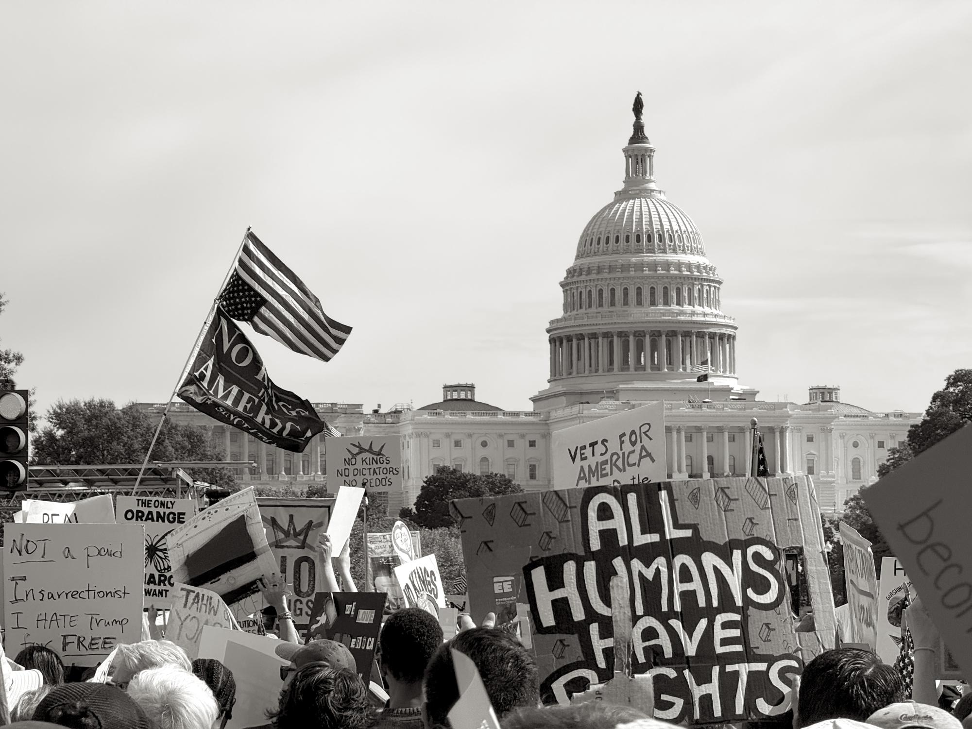 Protestors wave flags and hold up signs in front of the Capitol building at a No Kings protest, as photographed on Oct. 18, 2025. (Hustler Multimedia/Corey Lochan)