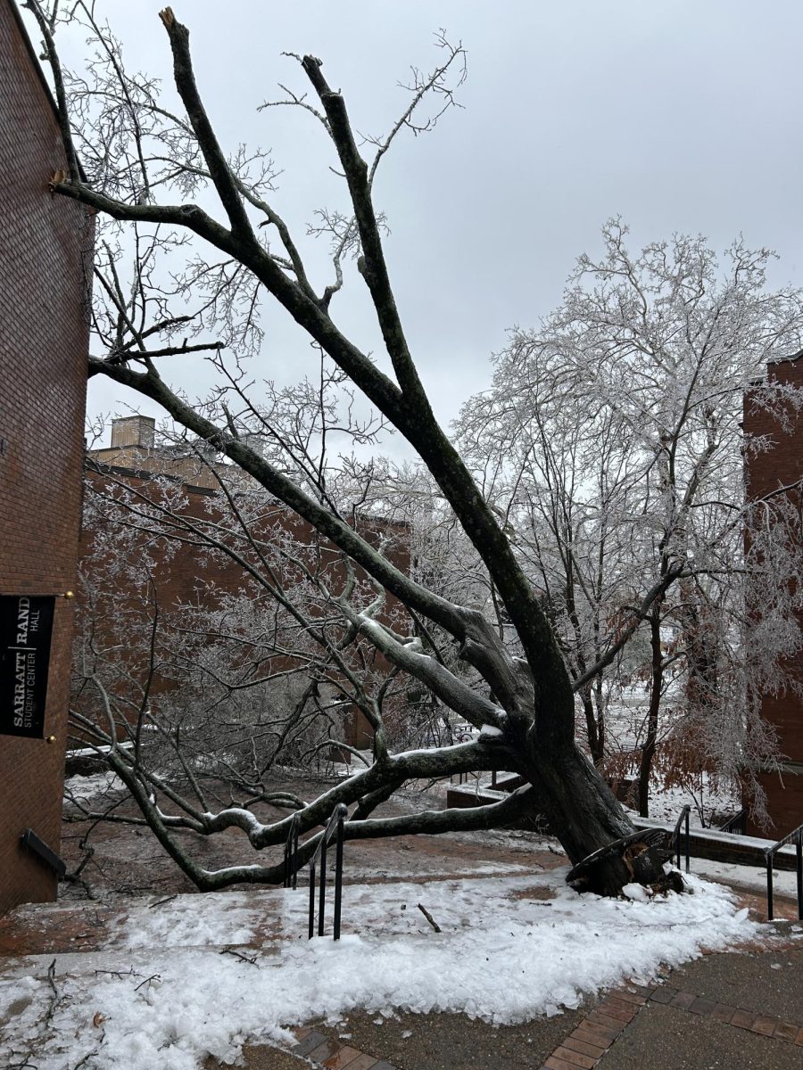 A severe winter storm hit Nashville and Vanderbilt’s campus with snow, sleet and freezing rain, leaving fallen trees, icy paths and power outages in its wake. Students navigated hazardous conditions while adapting to disrupted routines in the frozen aftermath.