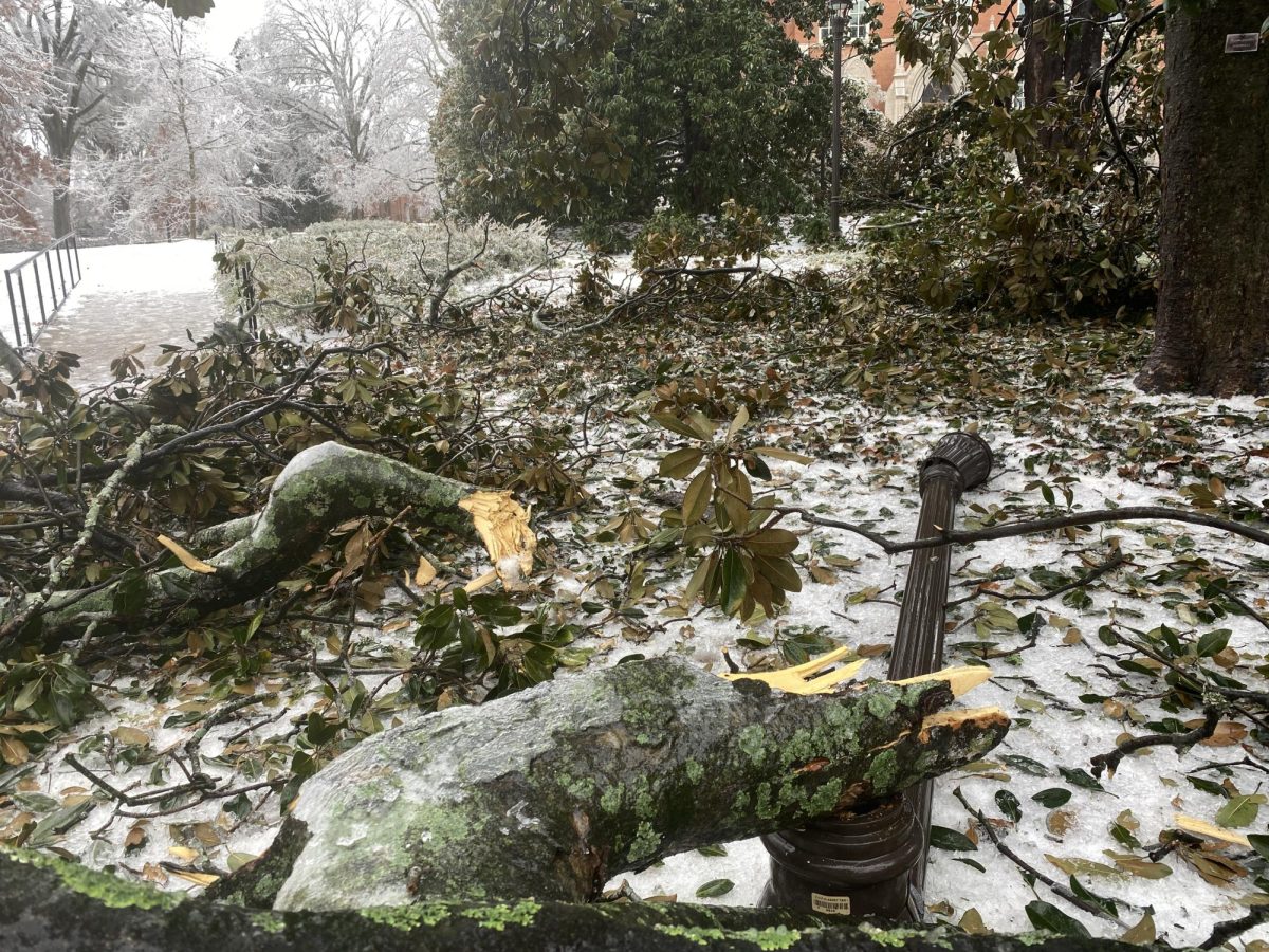 A lamppost knocked over by fallen tree limbs near Kirkland Hall, as photographed Jan. 25, 2026. (Hustler Multimedia/George Albu)