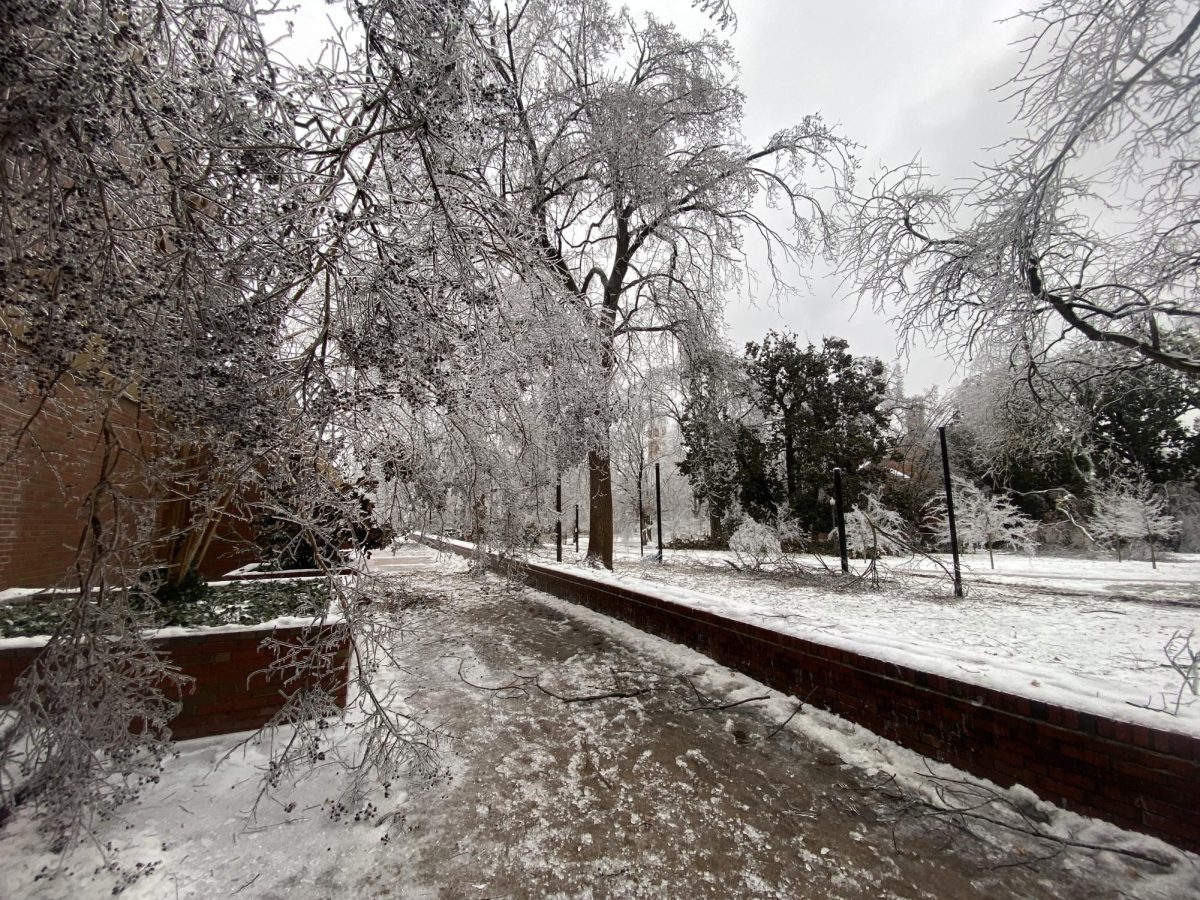 Ice covers trees next to Rand, as photographed Jan. 25, 2026. (Hustler Multimedia/George Albu)