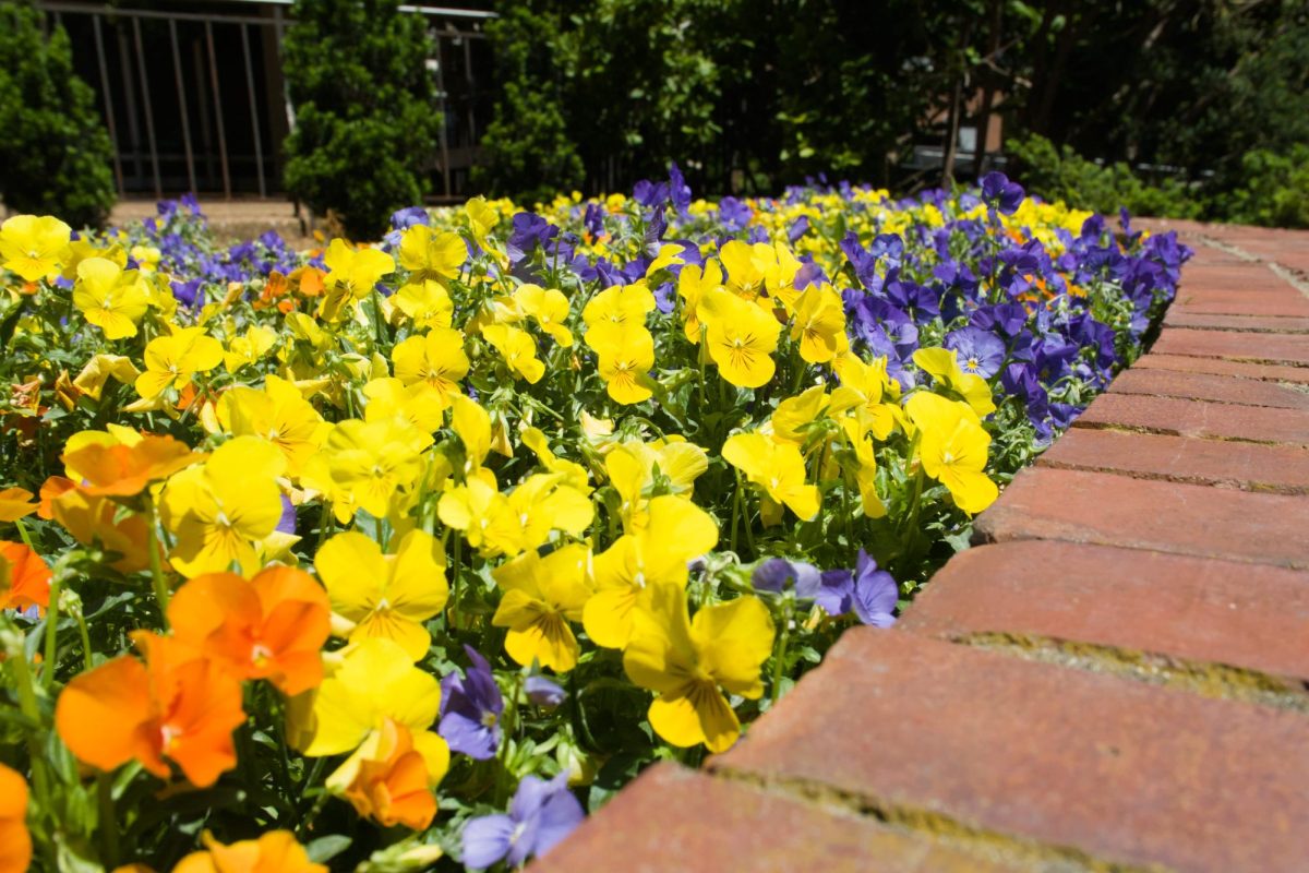 This week’s photos capture Vanderbilt Football’s Spring Game, Rites of Spring on Alumni Lawn and some of the smaller moments on campus.