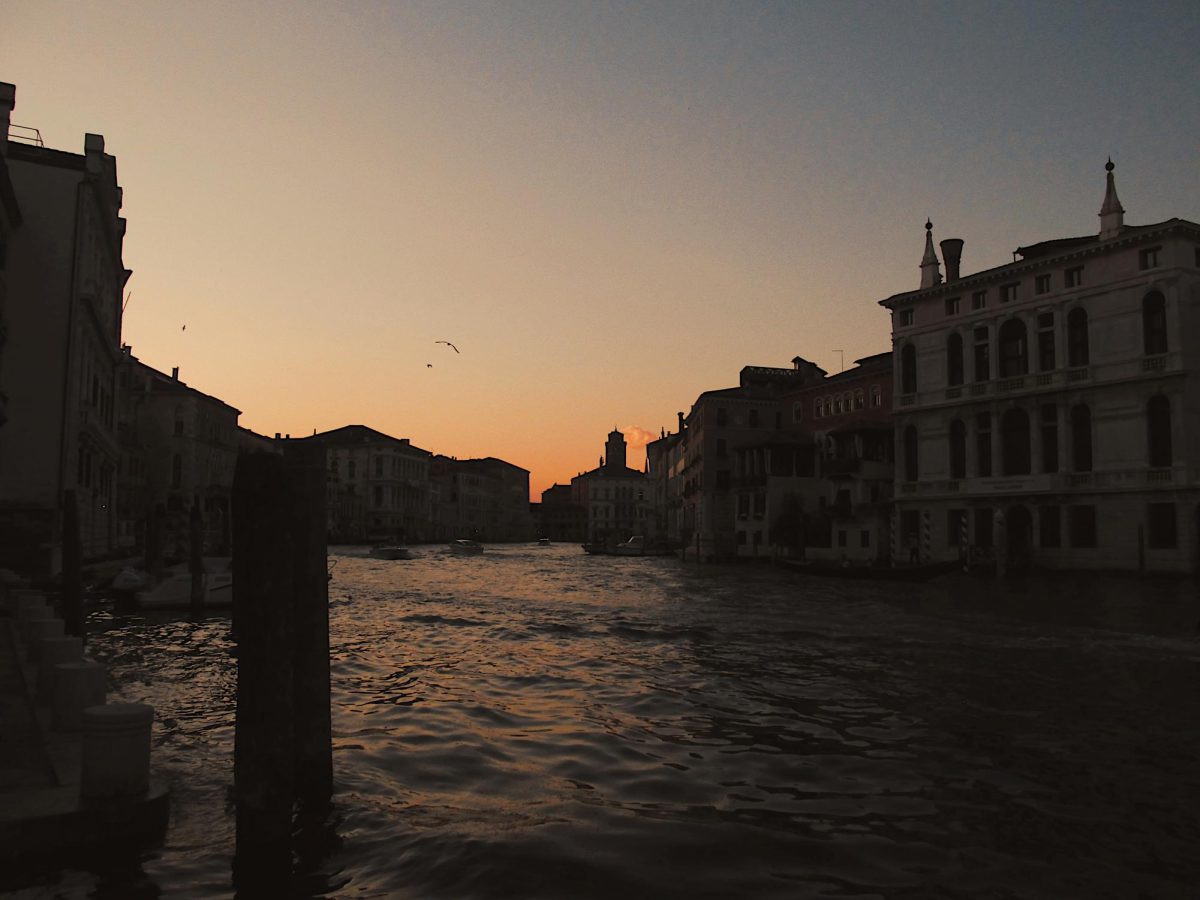 A MacArthur Fellow, a Grammy-winning musician, Vanderbilt students, alumni, scholars and curators came together in Venice during the 2026 Biennale.